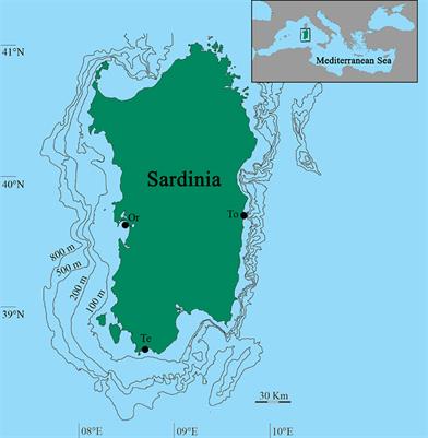 New insights upon the reproductive biology of the sea cucumber Holothuria tubulosa (Echinodermata, Holothuroidea) in the Mediterranean: Implications for management and domestication
